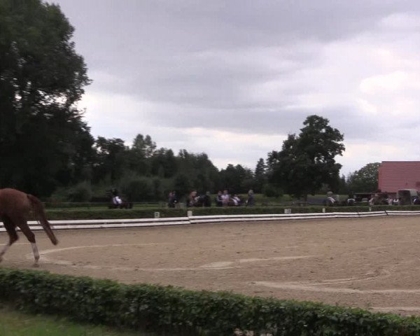 Reitturnier Ochtrup 2020