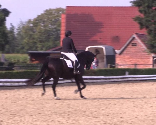 Reitturnier Ochtrup 2020