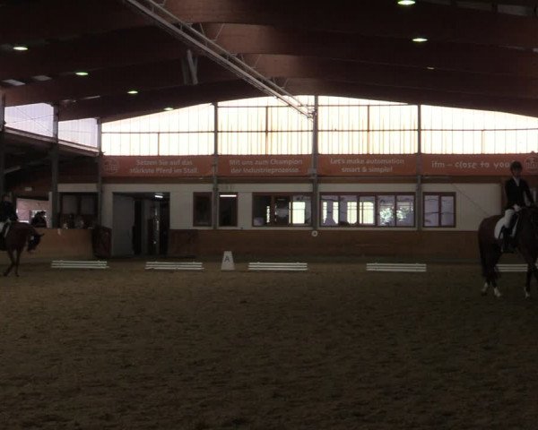 Reitturnier Appelhülsen 2020