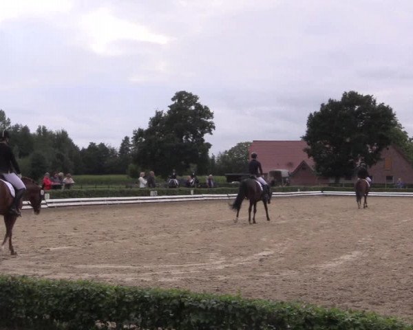 Reitturnier Ochtrup 2020