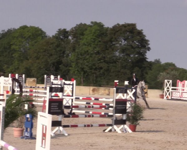 Reitturnier Oberfrauendorf 2020