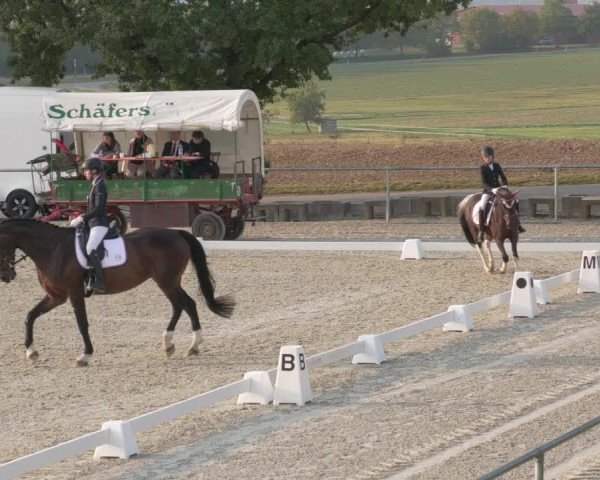 Reitturnier Ehningen 2020
