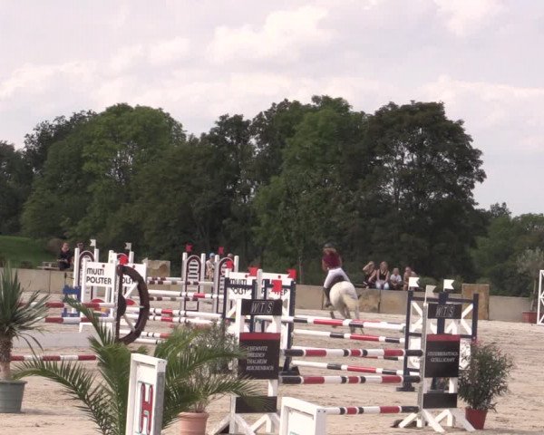 Reitturnier Oberfrauendorf 2020