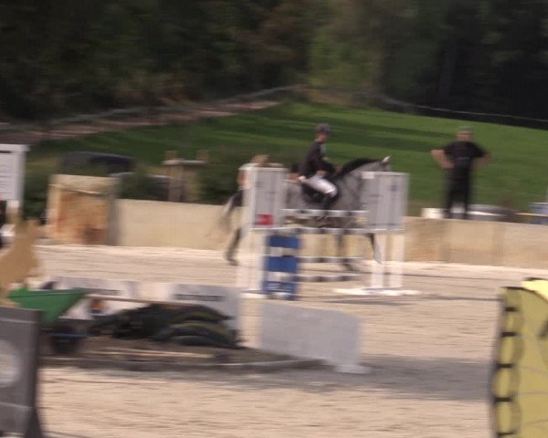 Reitturnier Oberfrauendorf 2020