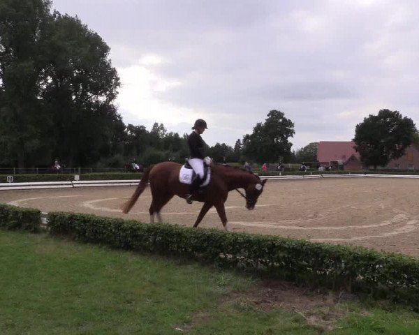 Reitturnier Ochtrup 2020