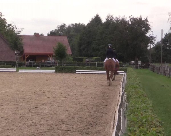 Reitturnier Ochtrup 2020