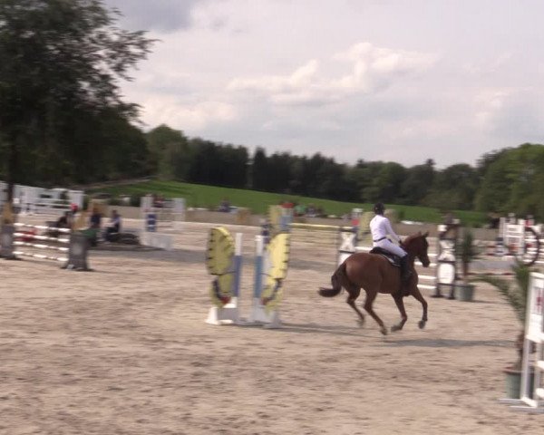 Reitturnier Oberfrauendorf 2020