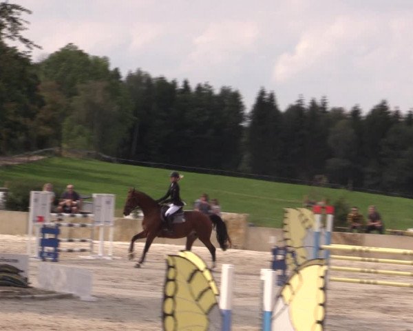 Reitturnier Oberfrauendorf 2020