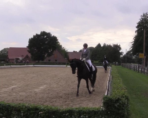 Reitturnier Ochtrup 2020