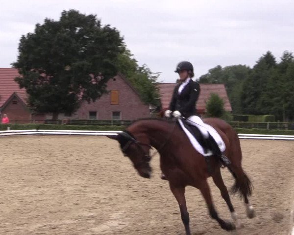 Reitturnier Ochtrup 2020