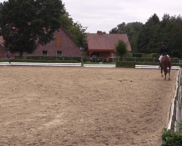 Reitturnier Ochtrup 2020