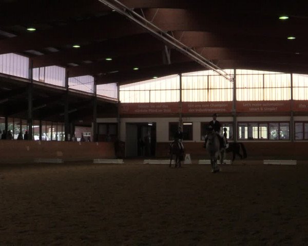 Reitturnier Appelhülsen 2020