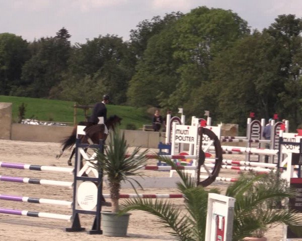 Reitturnier Oberfrauendorf 2020