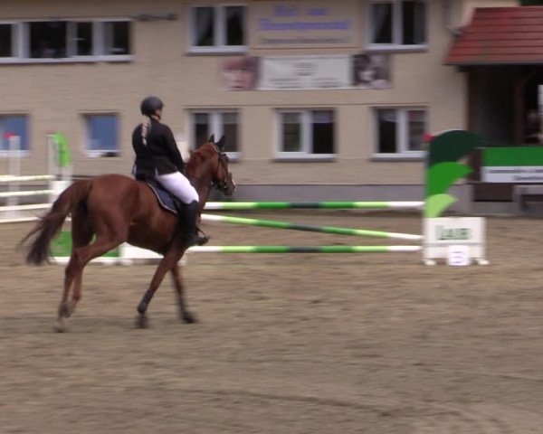 Reitturnier Lgl.-Oberhain, B95 2021