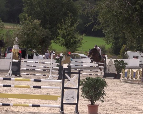 Reitturnier Oberfrauendorf 2020