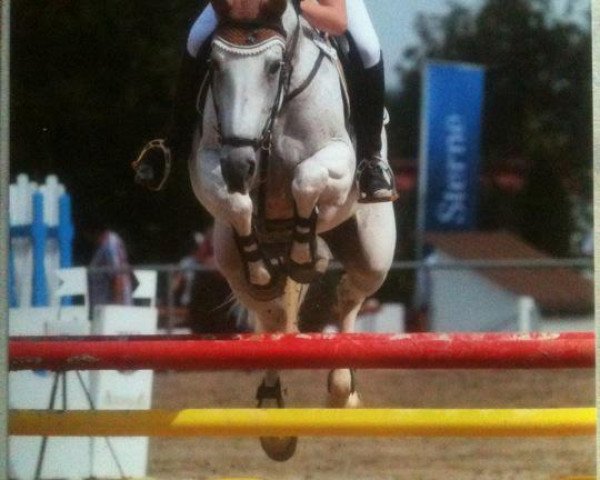 broodmare Gerronja (Oldenburg, 1997, from Corradino)