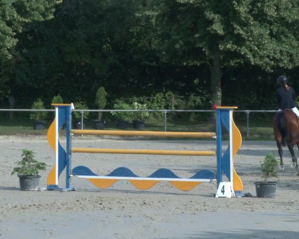 Reitturnier Appelhülsen 2020