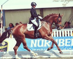 broodmare Florenza SL (Hanoverian, 2010, from Fidertanz)