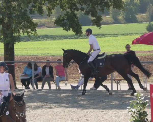 Reitturnier Ehningen 2020
