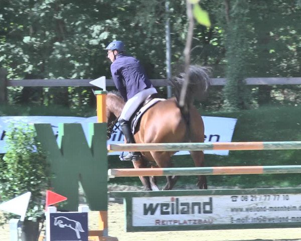 Reitturnier Walldorf/Winterheck 2020