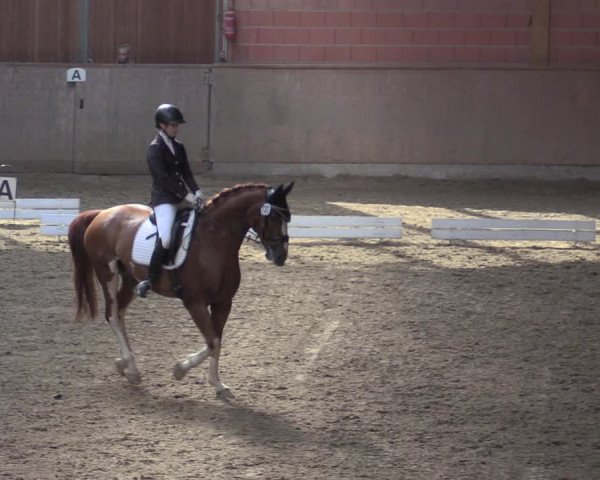 Reitturnier Dortmund-Barop 2020