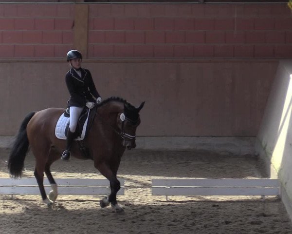 Reitturnier Dortmund-Barop 2020