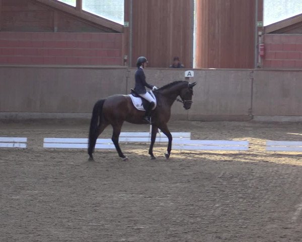 Reitturnier Dortmund-Barop 2020