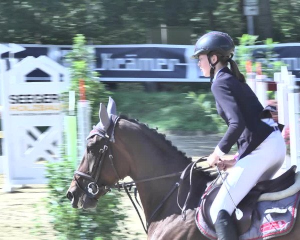Reitturnier Walldorf/Winterheck 2020