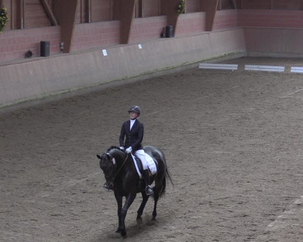 Reitturnier Dortmund-Barop 2020