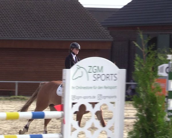 Reitturnier Dortmund-Barop 2020