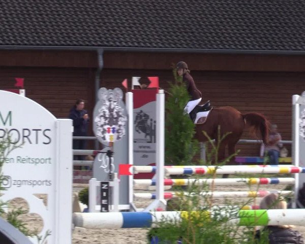 Reitturnier Dortmund-Barop 2020
