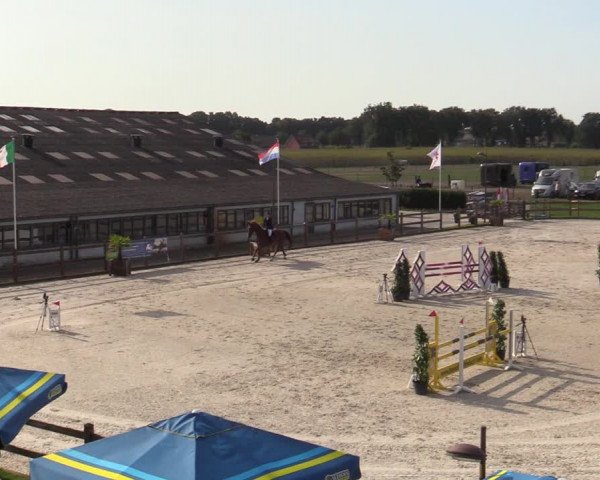 Gouden Laars Grote Brogel 2020