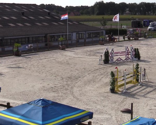 Gouden Laars Grote Brogel 2020