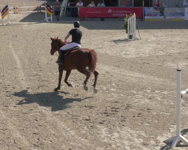 Reitturnier Ehningen 2020