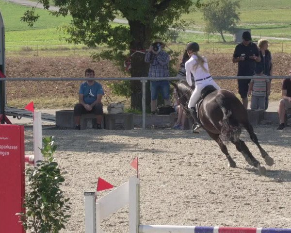 Reitturnier Ehningen 2020