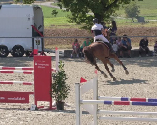 Reitturnier Ehningen 2020
