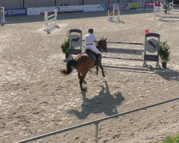Reitturnier Ehningen 2020