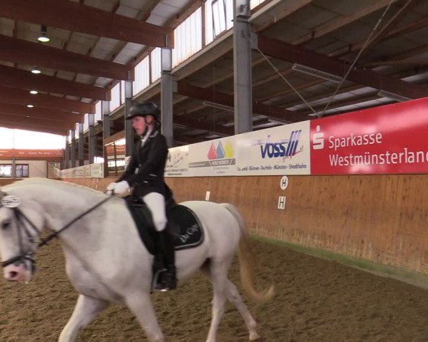 Reitturnier Appelhülsen 2020