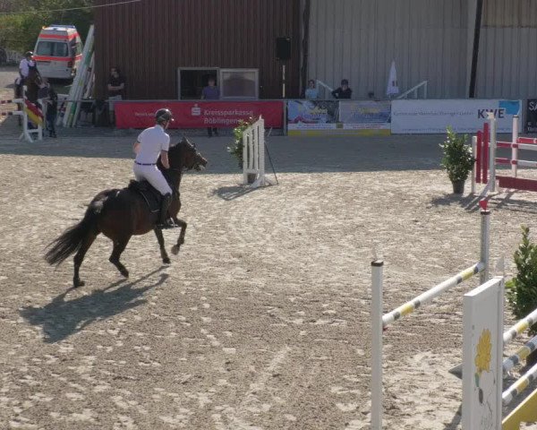 Reitturnier Ehningen 2020