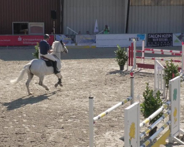 Reitturnier Ehningen 2020