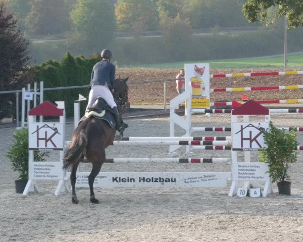 Reitturnier Ehningen 2020