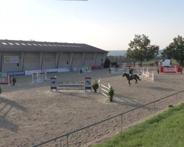 Reitturnier Ehningen 2020