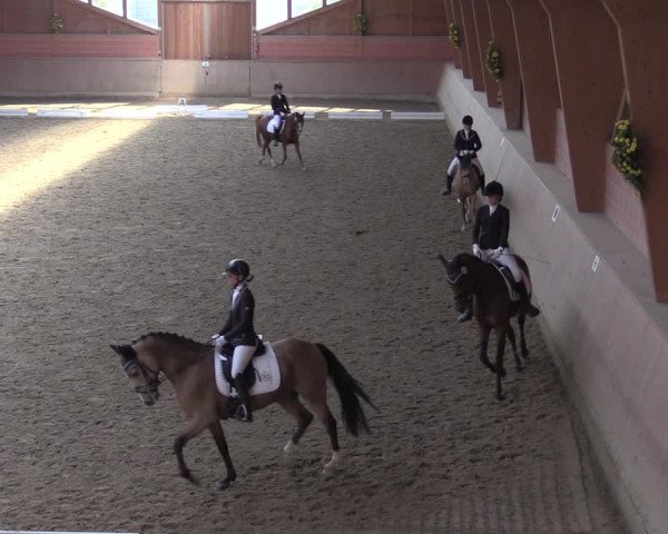 Reitturnier Dortmund-Barop 2020
