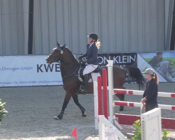 Reitturnier Ehningen 2020
