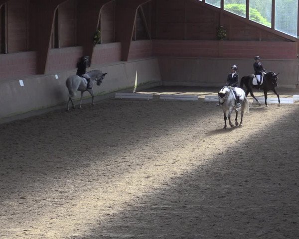 Reitturnier Dortmund-Barop 2020