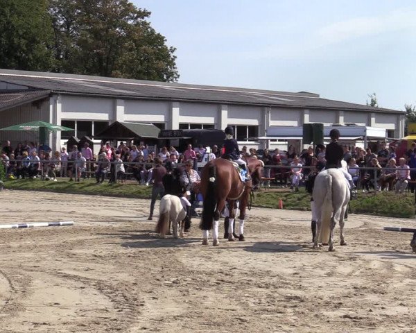 Reitturnier Dortmund-Barop 2020