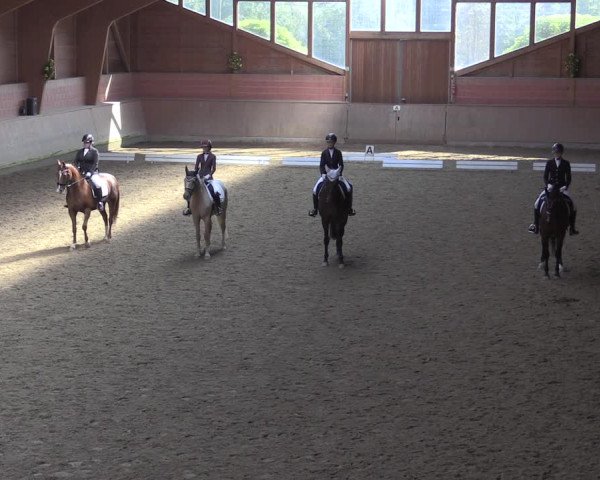 Reitturnier Dortmund-Barop 2020