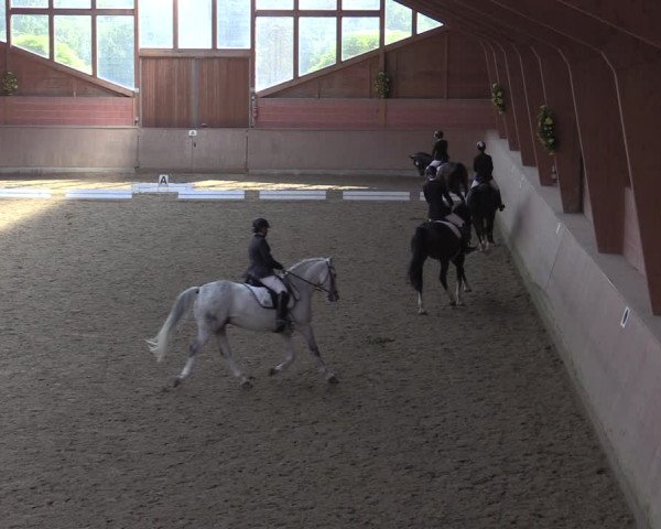 Reitturnier Dortmund-Barop 2020