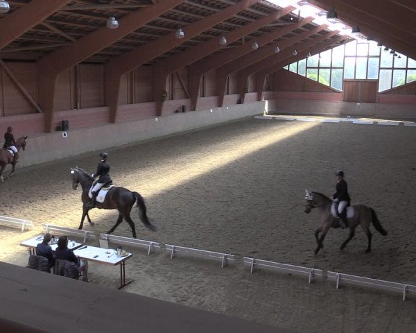 Reitturnier Dortmund-Barop 2020