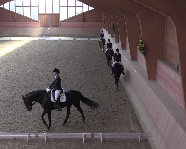 Reitturnier Dortmund-Barop 2020